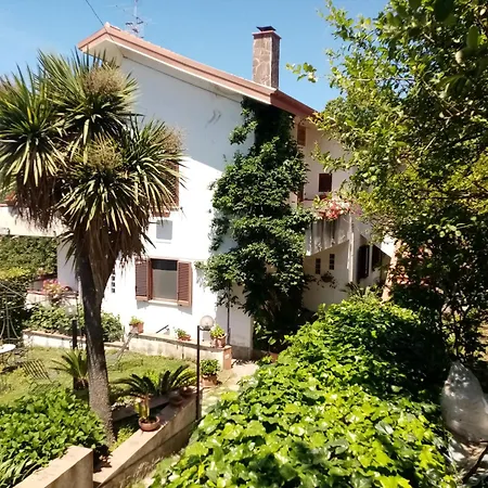 Xenios